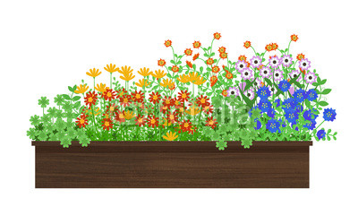 花壇 草むしり