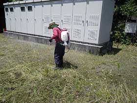 メガソーラー発電所除草作業