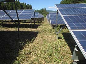 メガソーラー発電所草刈り