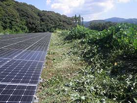 太陽光発電施設の草刈り