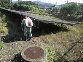 太陽光パネル周辺の除草作業