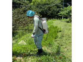 土地の除草