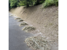 土手の草刈り