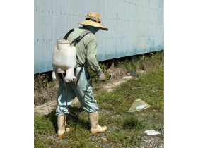 会社敷地内の除草作業